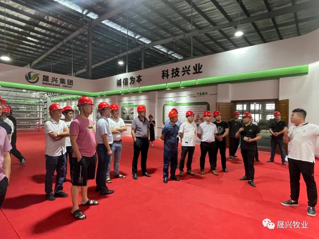 ag����(�й���)����