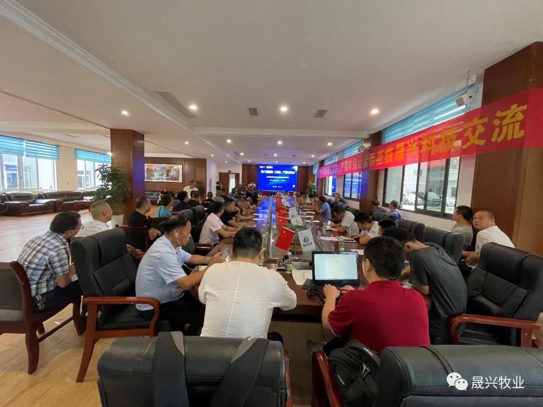 ag����(�й���)����