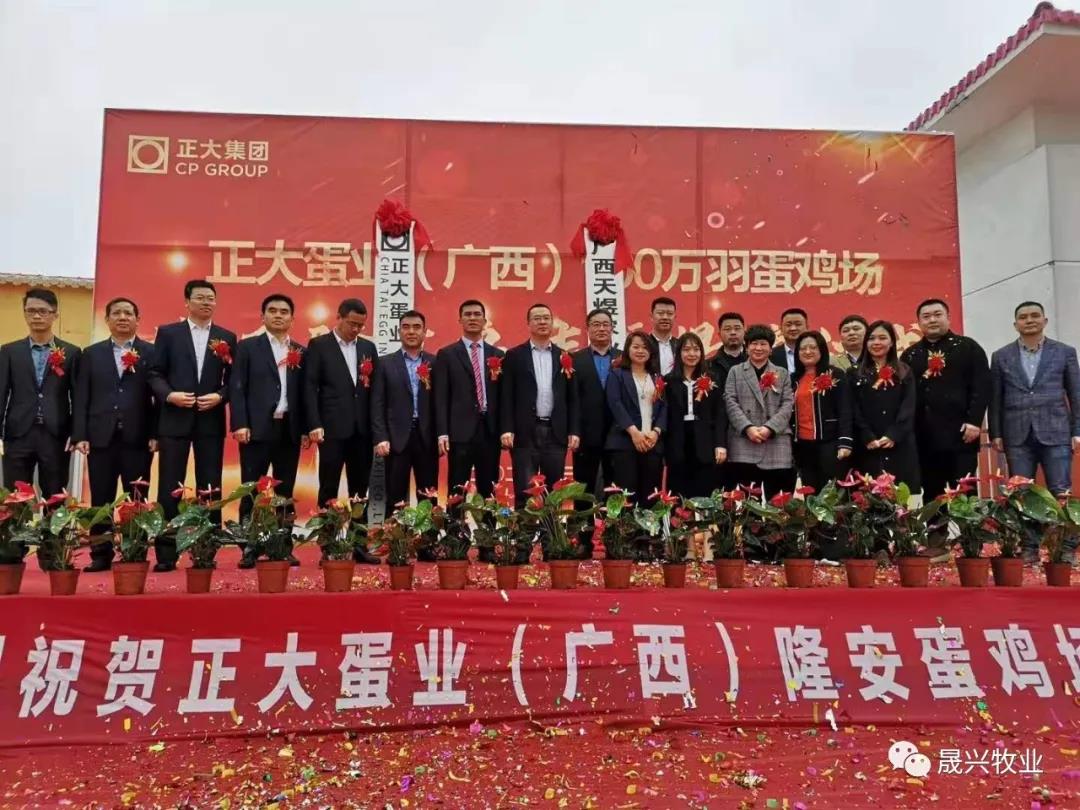 ag����(�й���)����