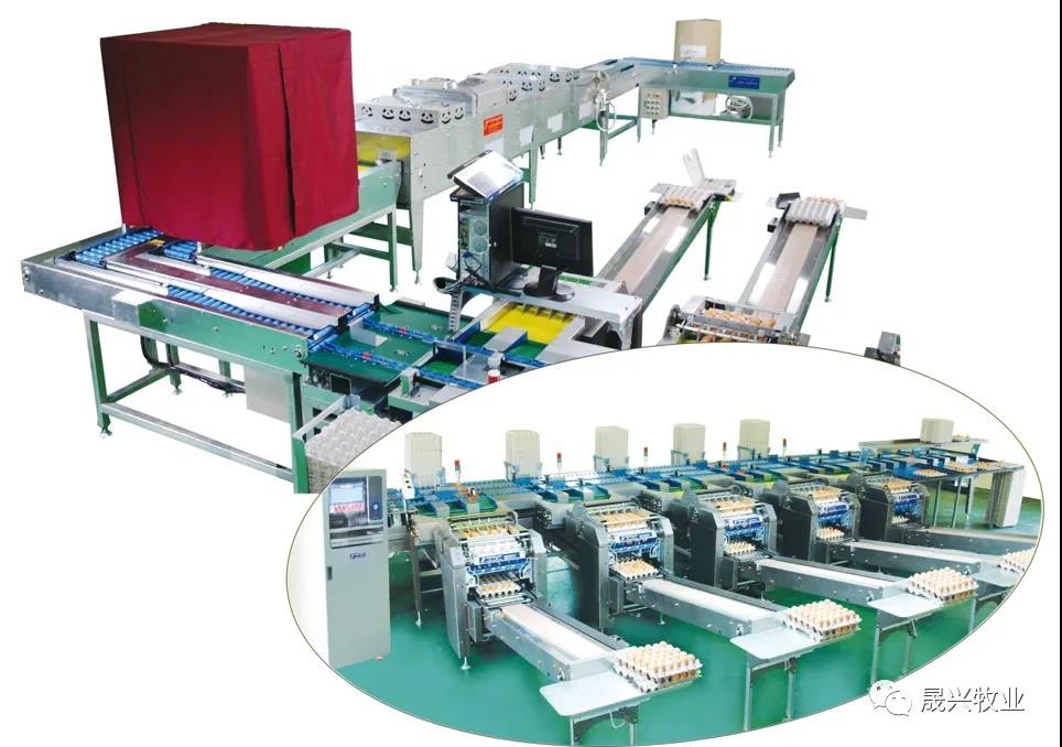 ag����(�й���)����