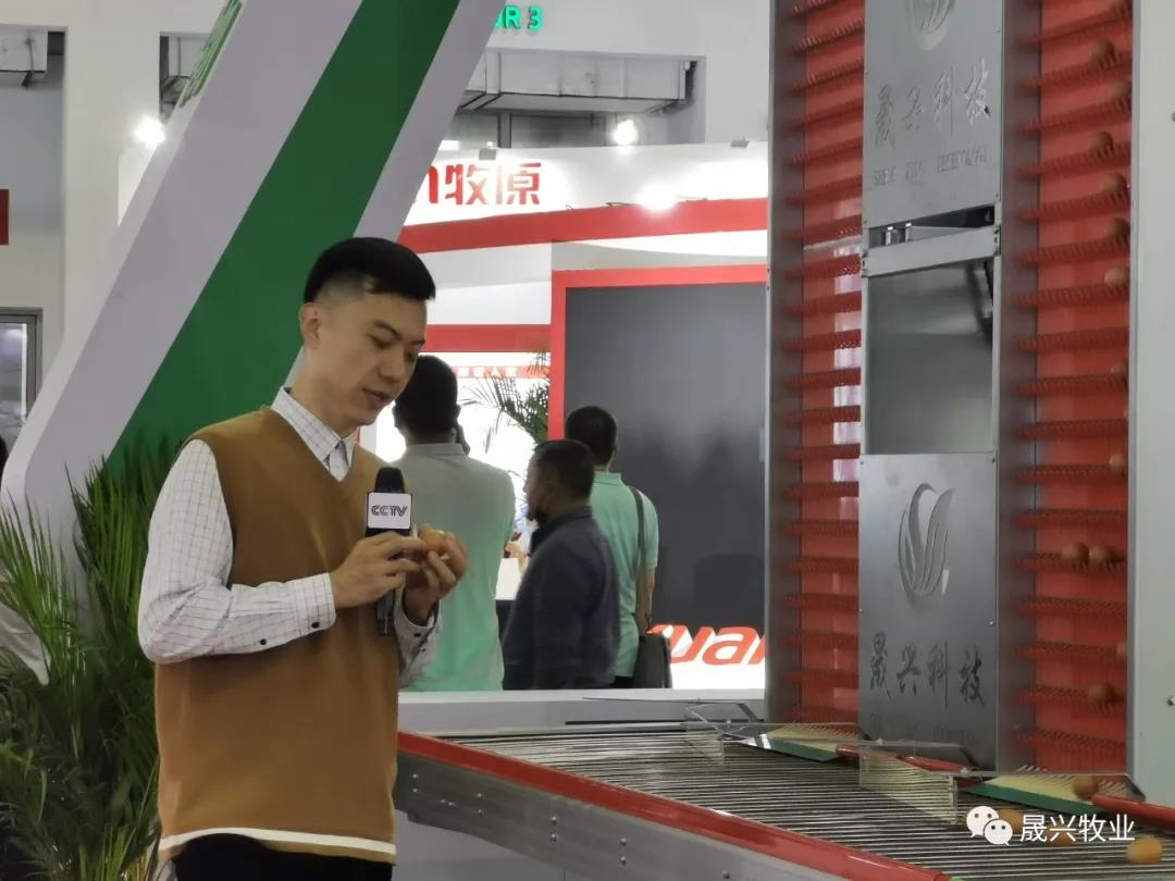 ag����(�й���)����