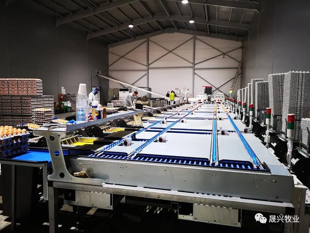 ag����(�й���)����