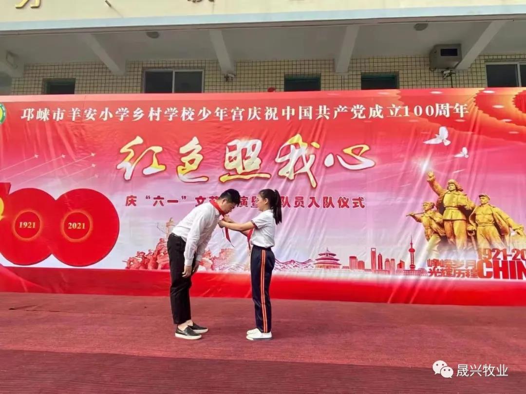 ag����(�й���)����