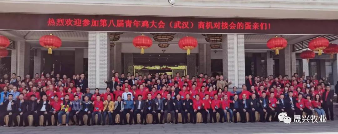 ag����(�й���)����