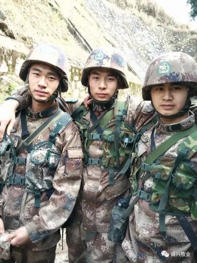 ag����(�й���)����