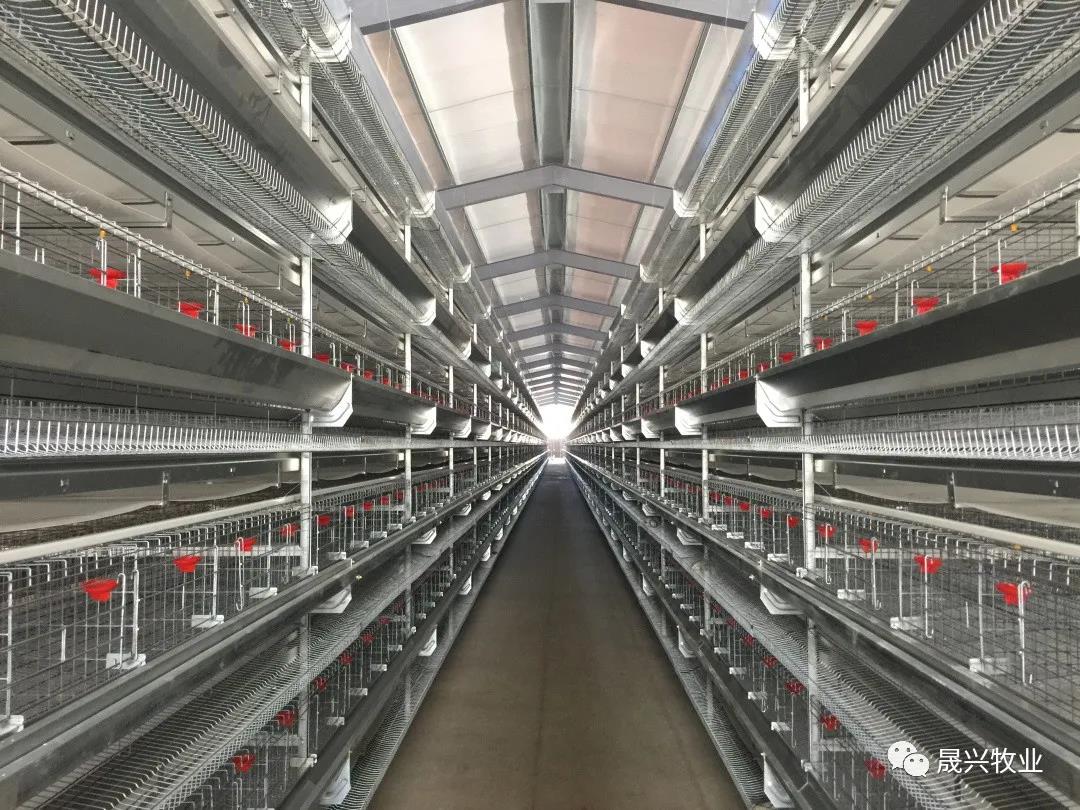 ag����(�й���)����