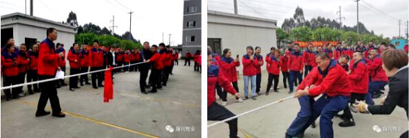 ag����(�й���)����