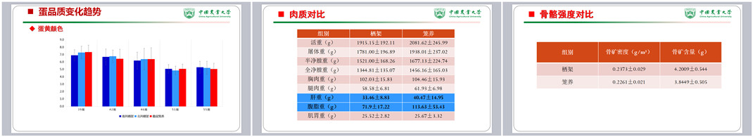 ag����(�й���)����