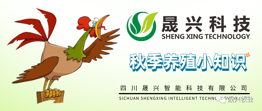 ag����(�й���)����