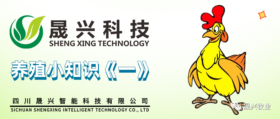 ag����(�й���)����