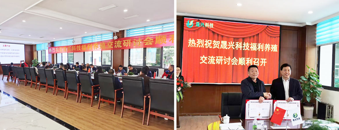 ag����(�й���)����