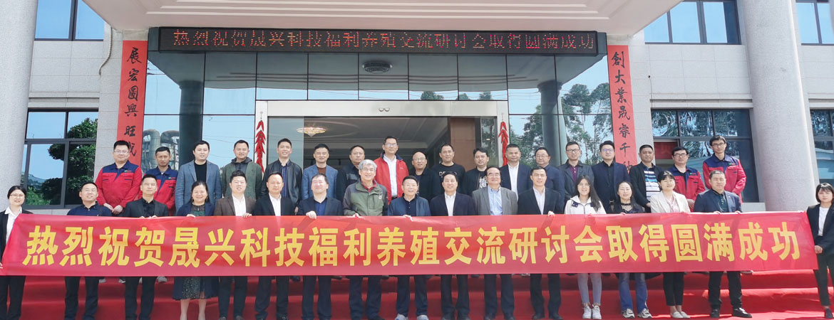 ag����(�й���)����