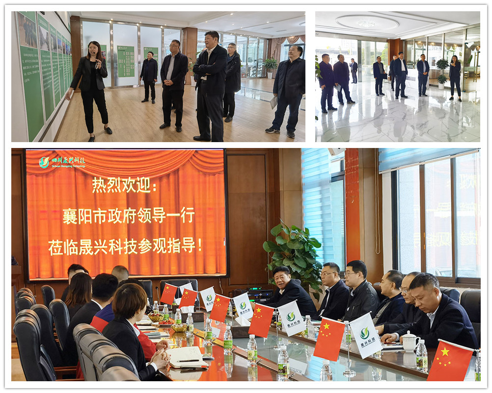 AG���μ���