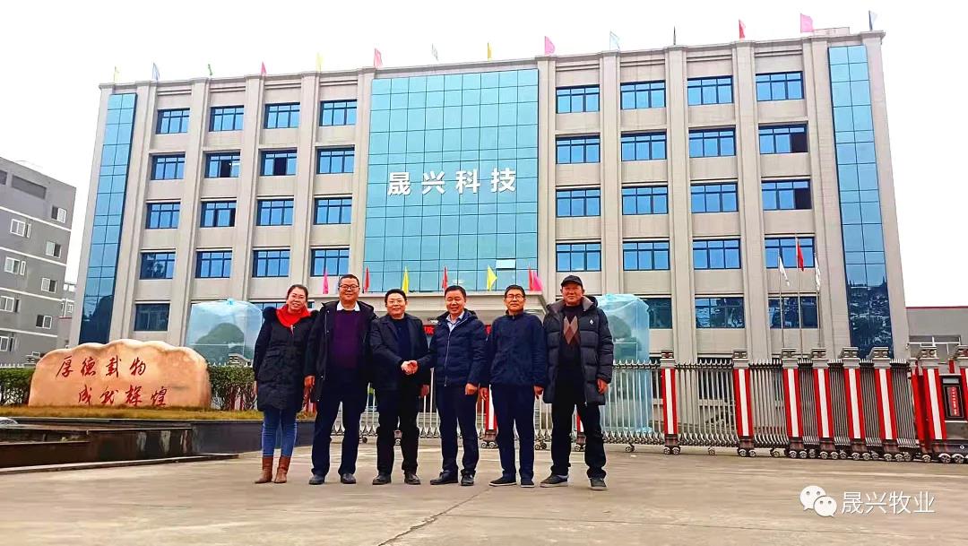 ag����(�й���)����