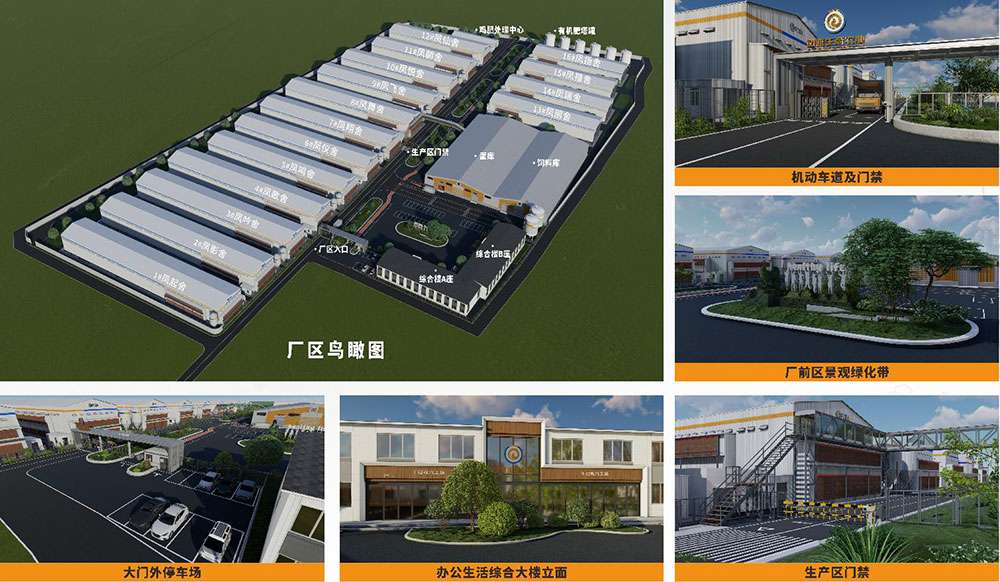 ag����(�й���)����