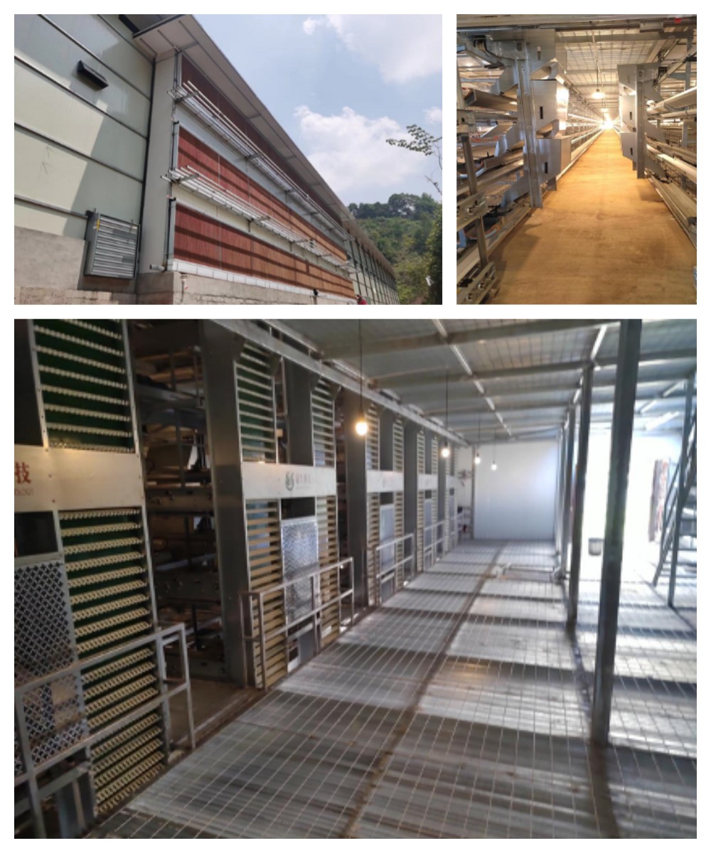 ag����(�й���)����