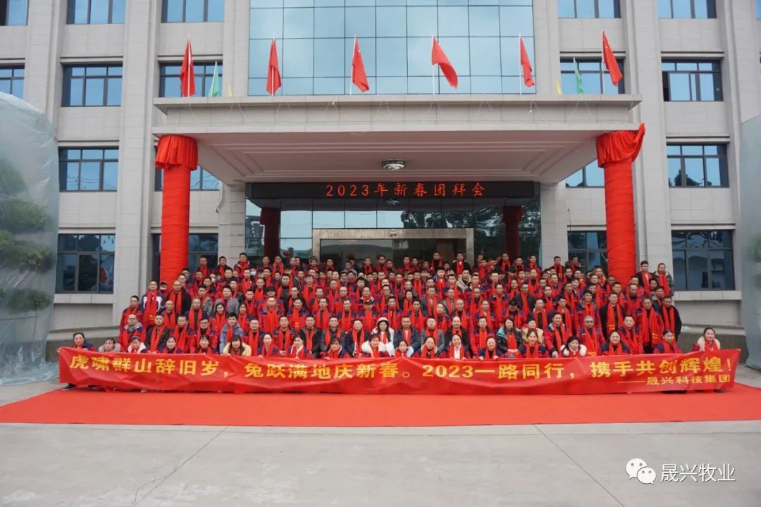 ag����(�й���)����