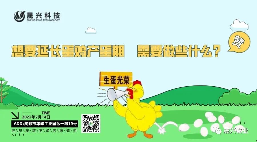 ����װ��