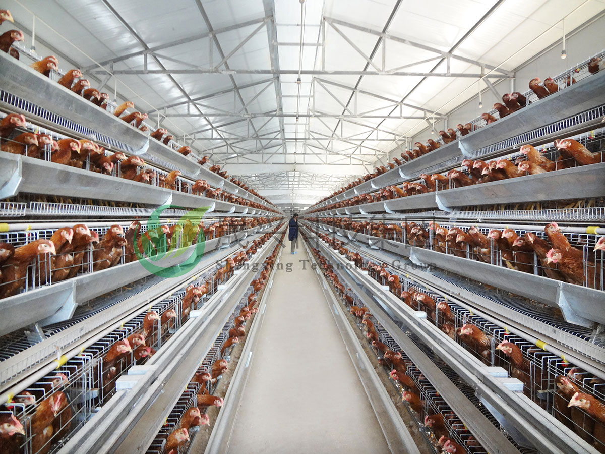 ������ֳװ��