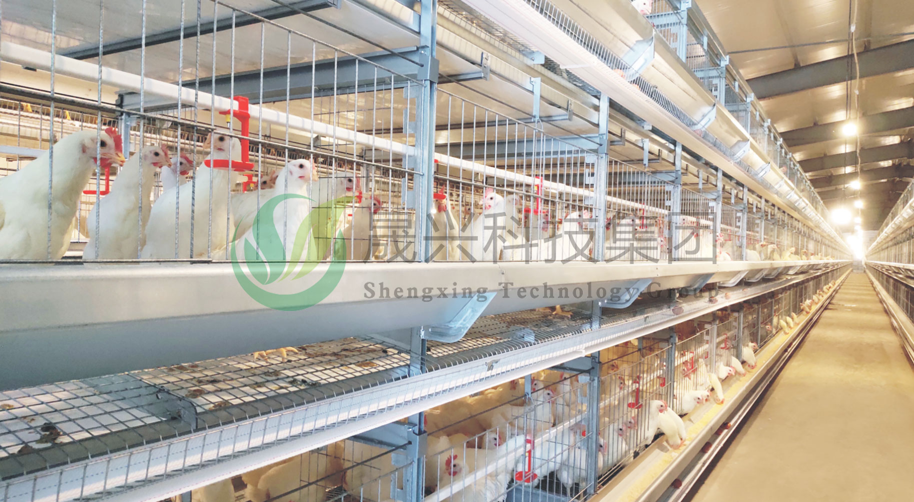 ����װ��