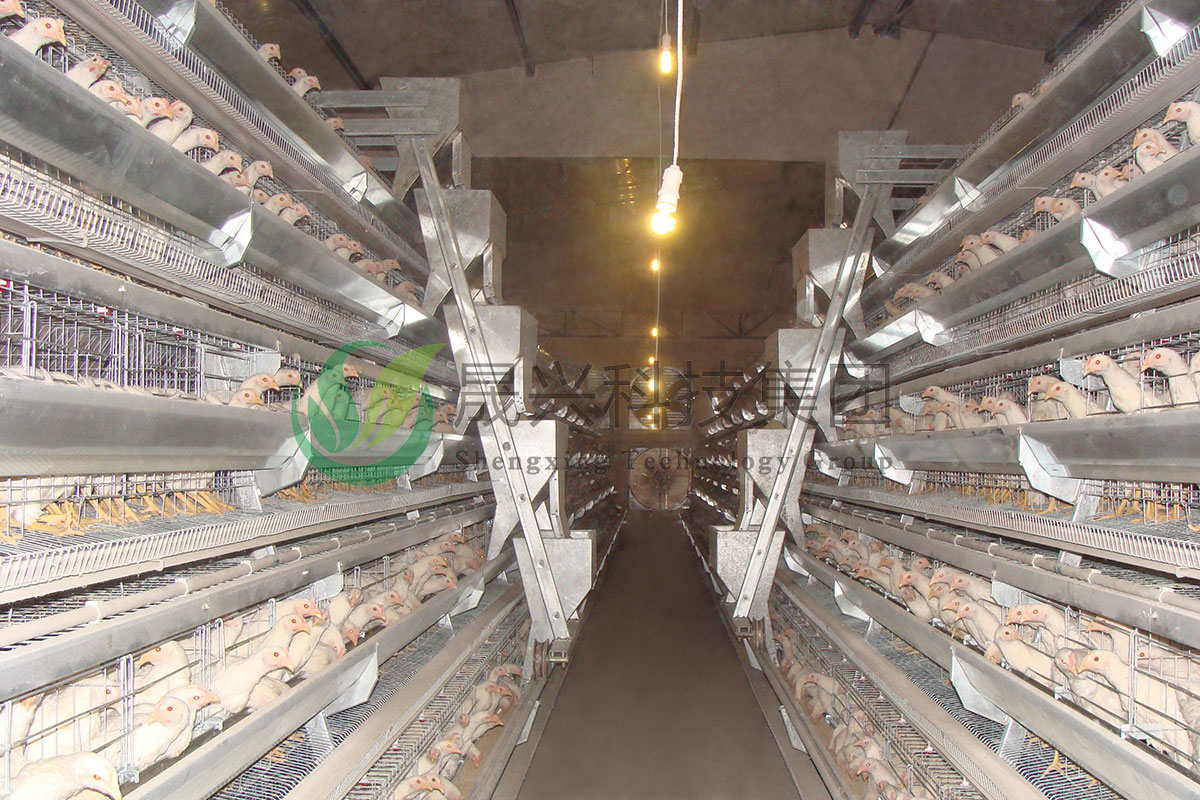 ������ֳװ��