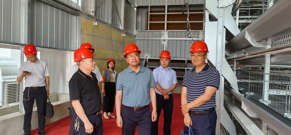 ����װ��