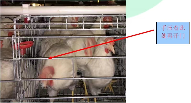 ����װ��