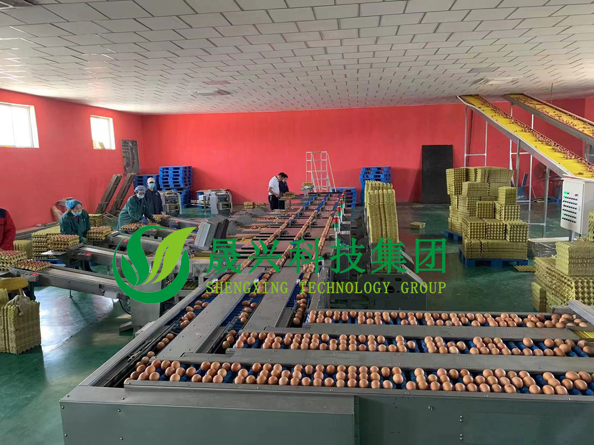 ����װ��