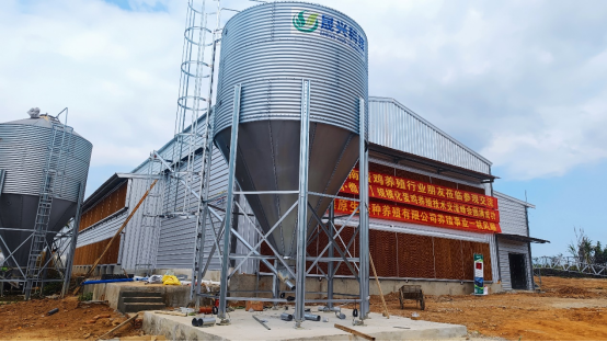 ag����(�й���)����