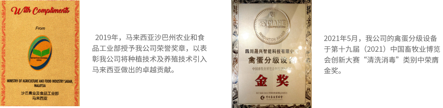 ag����(�й���)����