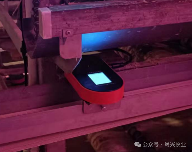 agÑÇÓÎ(ÖйúÇø)¹ÙÍø