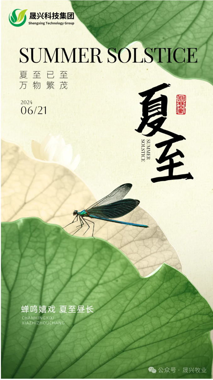 ag����(�й���)����