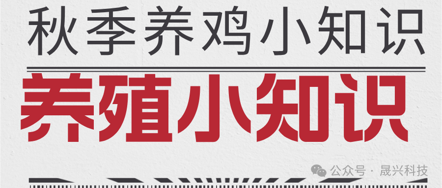 ����װ��