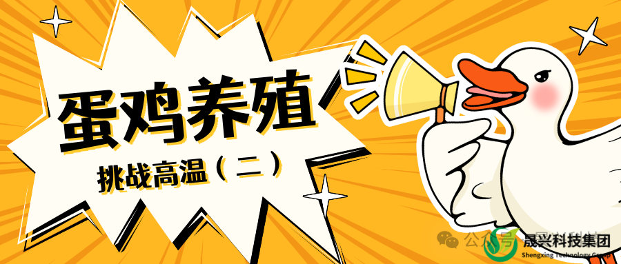 ag����(�й���)����