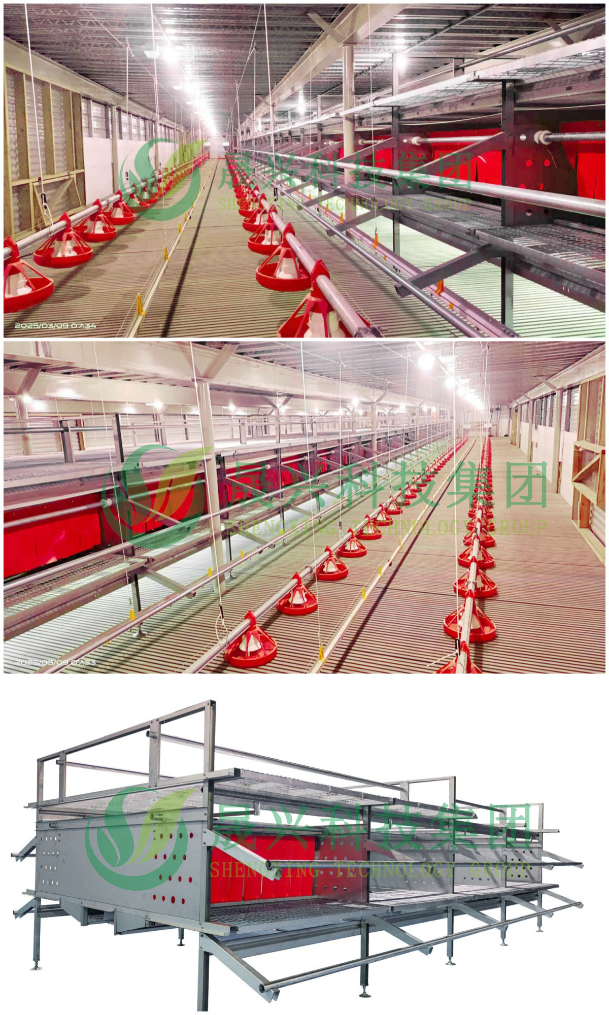 ag����(�й���)����