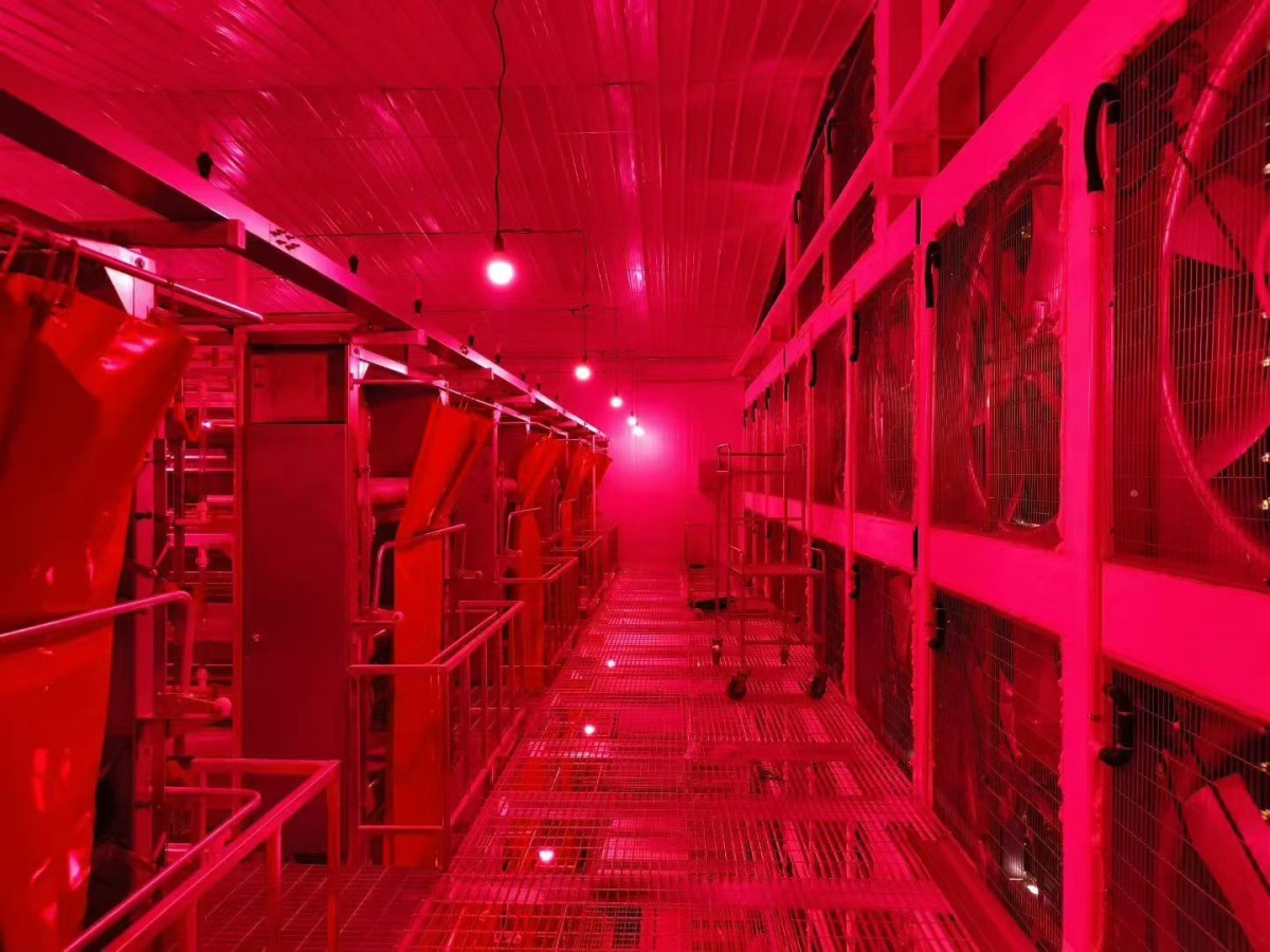 ����װ��